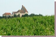 vignes et chateau