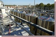vinification